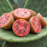 Cacti-Nea™